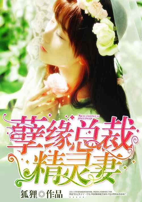 The elf wife of the president of evil fate