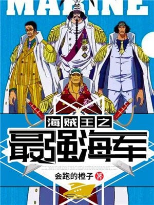 The strongest navy of One Piece