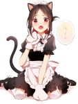 Why is my journey to the world of anime a strange tale of rules?